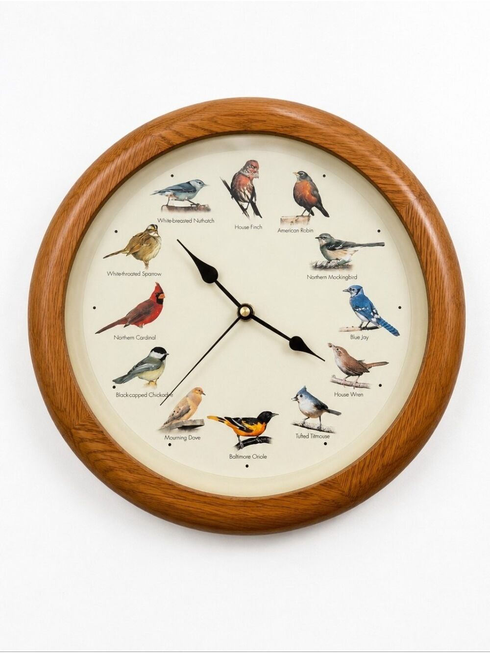 Singing Bird Wall Clock 12 North American Birds Oak Look 13" For Repair